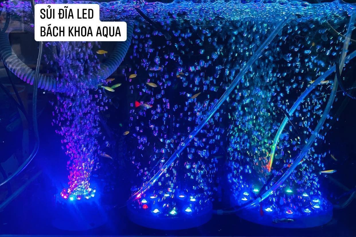 Sủi đĩa kết hợp đèn led Hikari